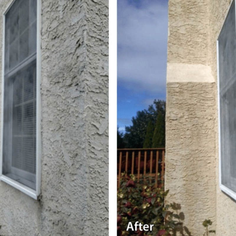 Pressure Washing (2)