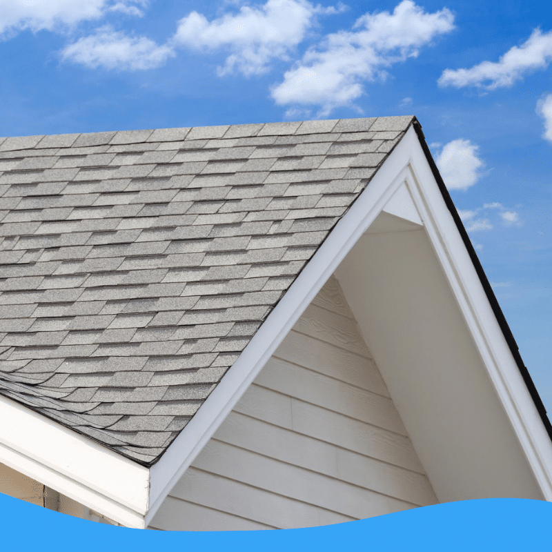 Asphalt Roof Cleaning